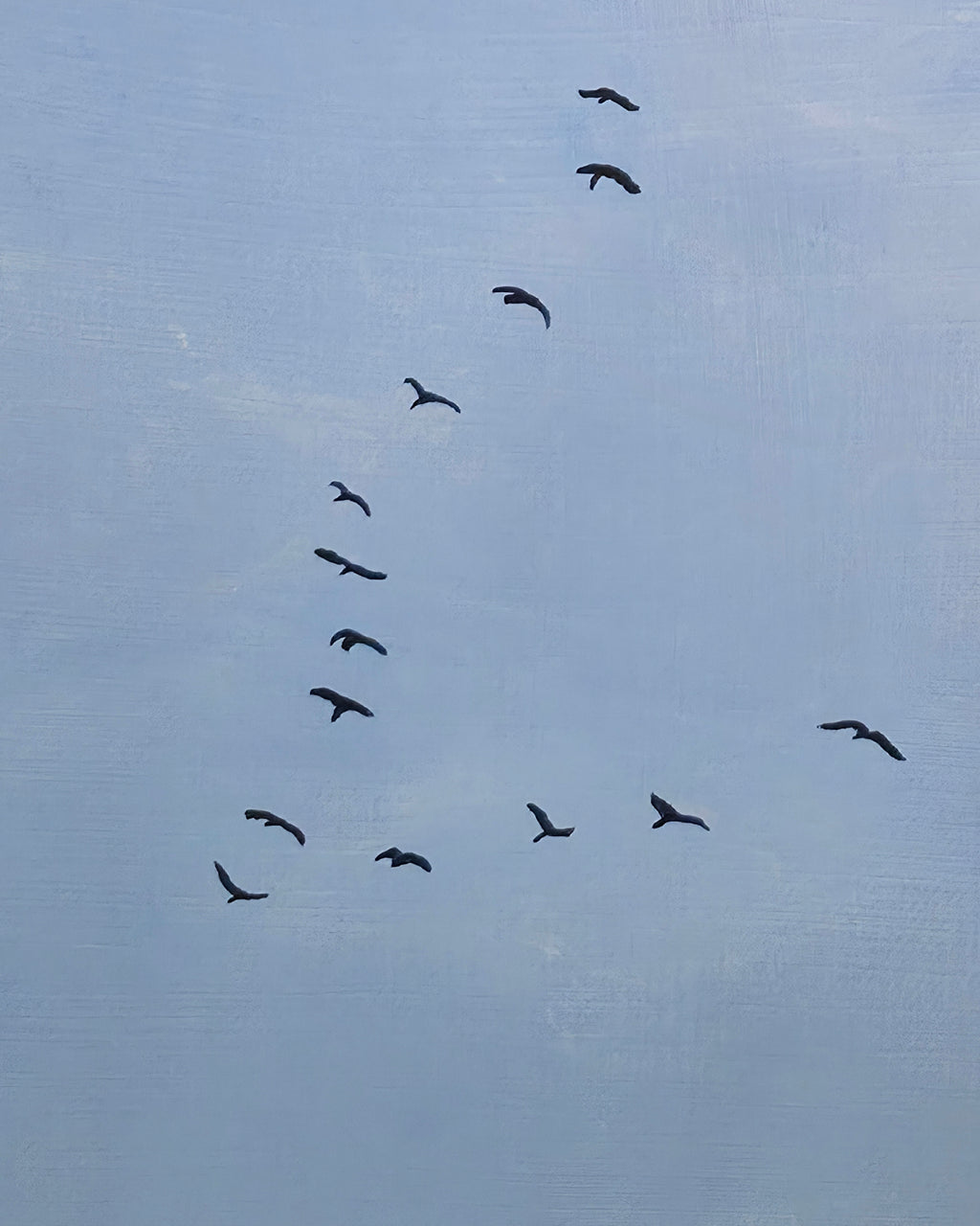 Geese