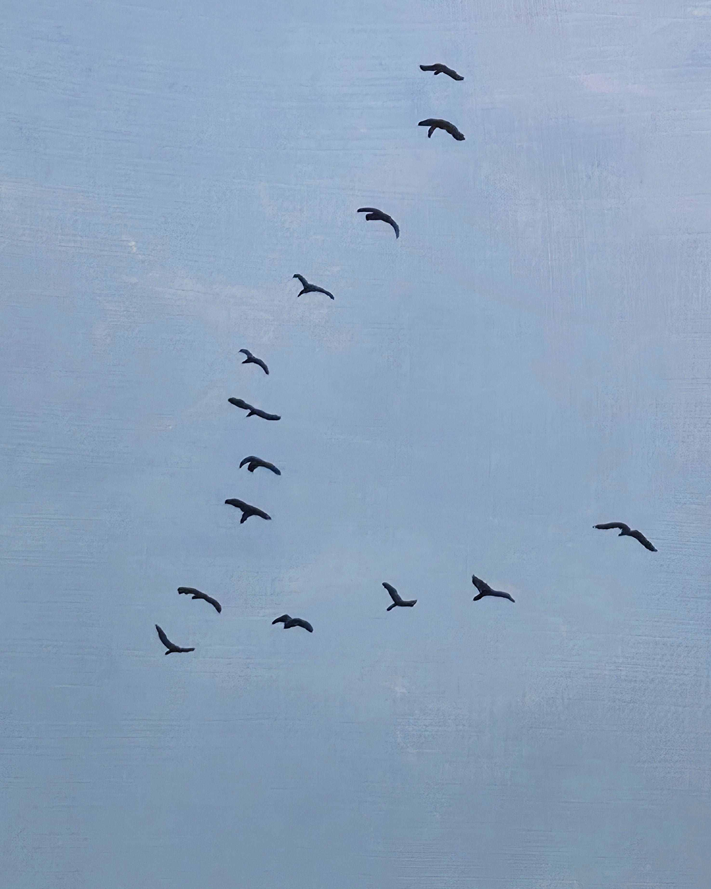 Geese