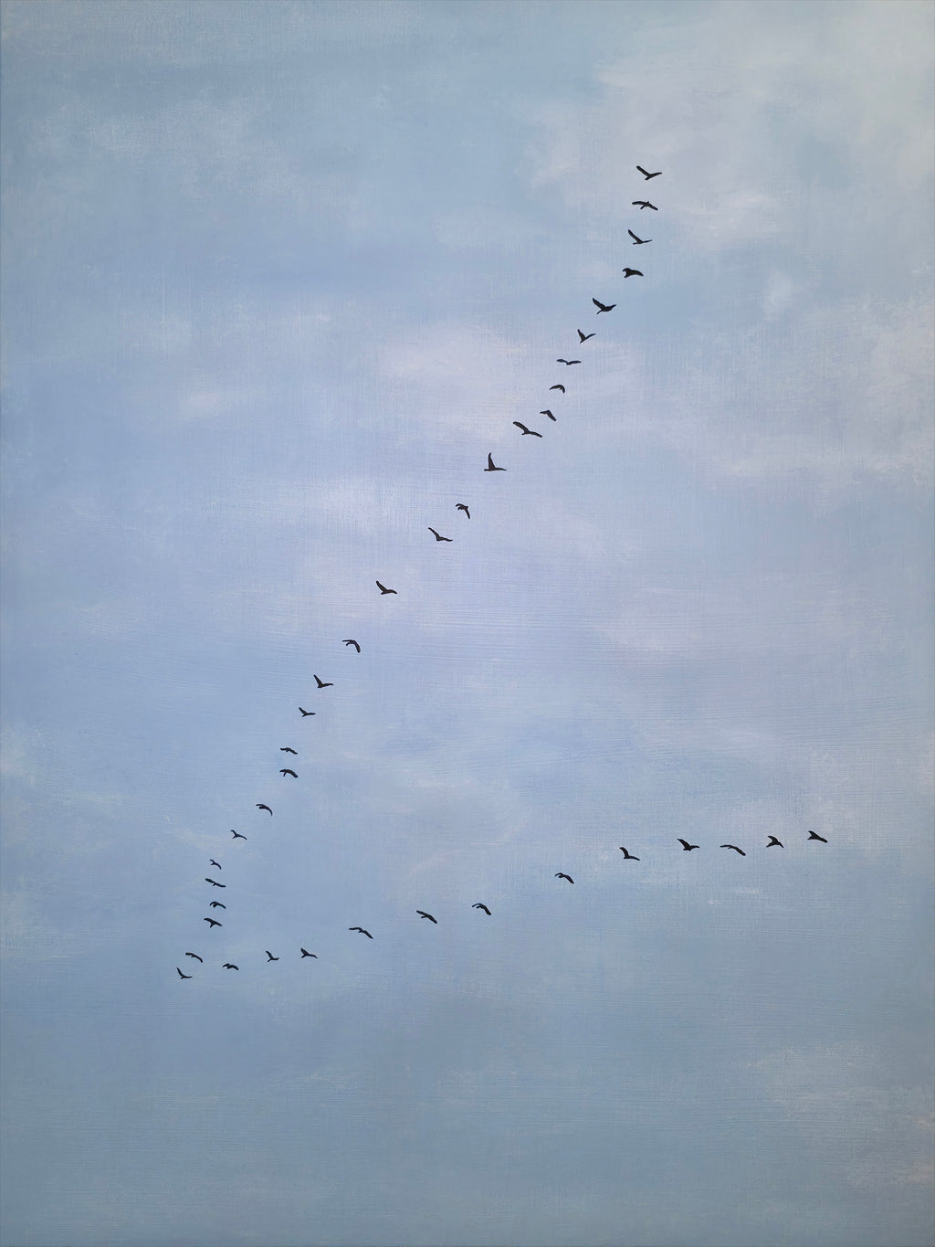 Geese